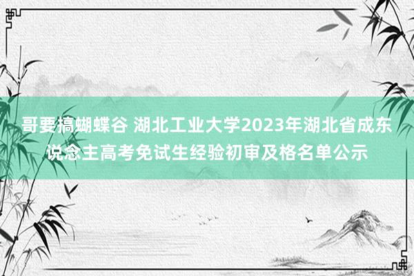 哥要搞蝴蝶谷 湖北工业大学2023年湖北省成东说念主高考免试生经验初审及格名单公示