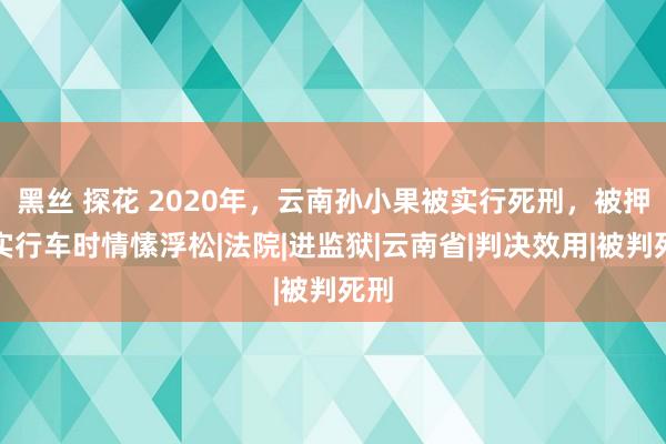 黑丝 探花 2020年，云南孙小果被实行死刑，被押上实行车时情愫浮松|法院|进监狱|云南省|判决效用|被判死刑